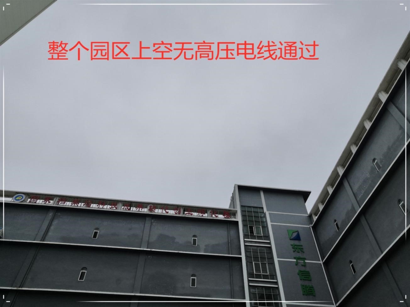 亚洲午夜免费视频公司